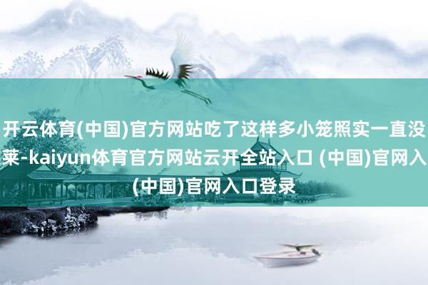 开云体育(中国)官方网站吃了这样多小笼照实一直没来过莱莱-kaiyun体育官方网站云开全站入口 (中国)官网入口登录