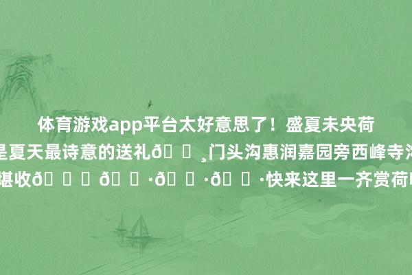体育游戏app平台太好意思了！盛夏未央荷风已至满池风凉🍃这是夏天最诗意的送礼🌸门头沟惠润嘉园旁西峰寺沟内📍荷叶莲莲好意思不堪收💌📷📷📷快来这里一齐赏荷吧！开首：门头沟融媒记者：李季 李剑韬裁剪：刘潇雅发布于：北京市-kaiyun体育官方网站云开全站入口 (中国)官网入口登录
