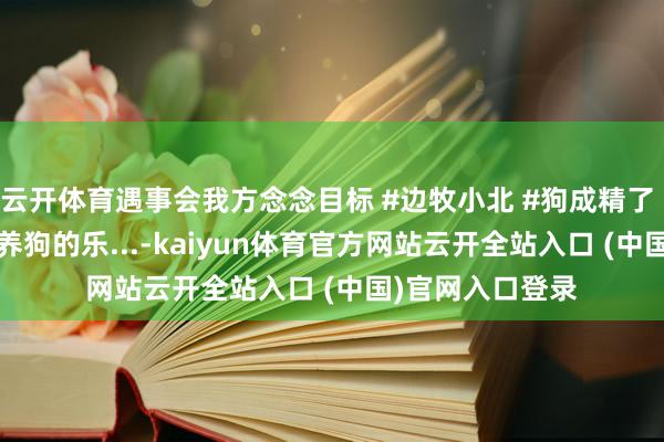 云开体育遇事会我方念念目标 #边牧小北 #狗成精了 #边牧和金毛 #养狗的乐...-kaiyun体育官方网站云开全站入口 (中国)官网入口登录