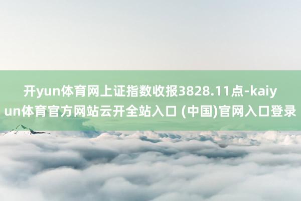 开yun体育网上证指数收报3828.11点-kaiyun体育官方网站云开全站入口 (中国)官网入口登录