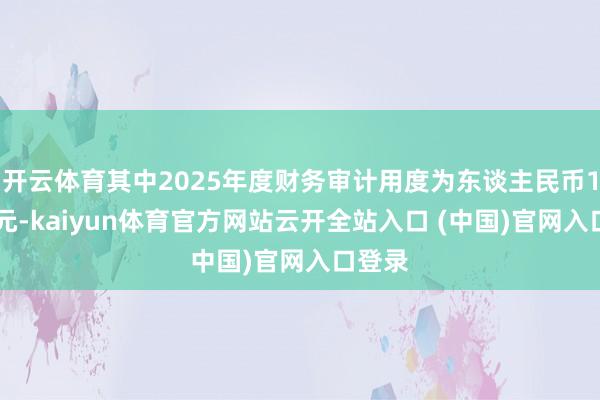 开云体育其中2025年度财务审计用度为东谈主民币180万元-kaiyun体育官方网站云开全站入口 (中国)官网入口登录