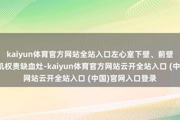 kaiyun体育官方网站全站入口左心室下壁、前壁心尖段及心尖心肌权贵缺血灶-kaiyun体育官方网站云开全站入口 (中国)官网入口登录