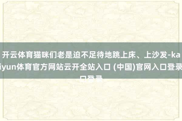 开云体育猫咪们老是迫不足待地跳上床、上沙发-kaiyun体育官方网站云开全站入口 (中国)官网入口登录