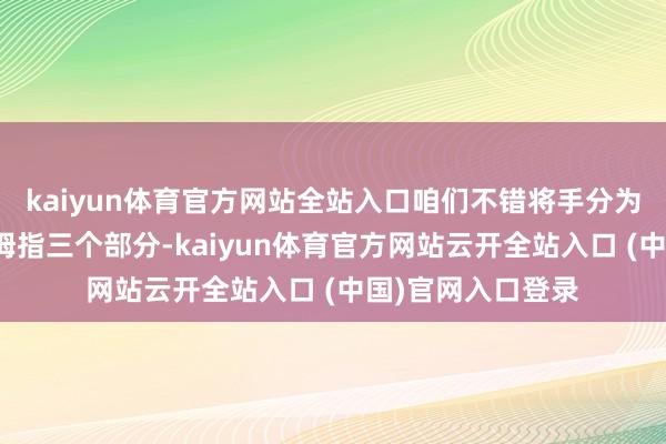 kaiyun体育官方网站全站入口咱们不错将手分为手指、手掌、大拇指三个部分-kaiyun体育官方网站云开全站入口 (中国)官网入口登录