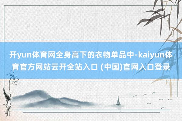 开yun体育网全身高下的衣物单品中-kaiyun体育官方网站云开全站入口 (中国)官网入口登录